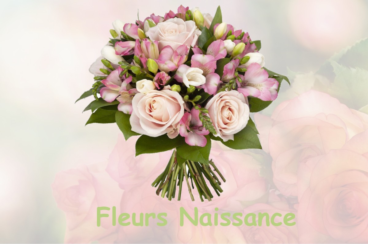 fleurs naissance SAINT-MARTIN-DE-NIGELLES