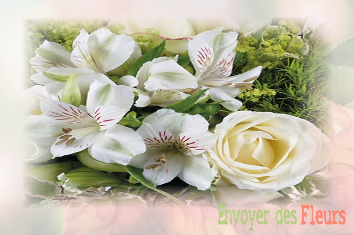envoyer des fleurs à à SAINT-MARTIN-DE-NIGELLES